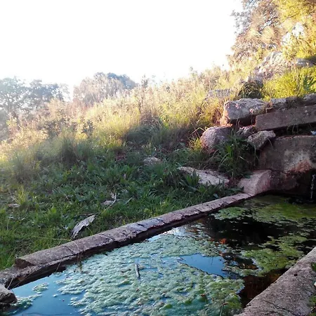 Parras *