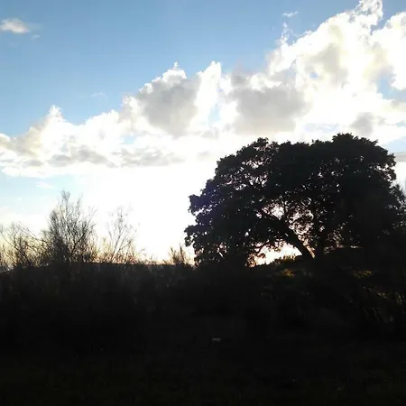 Parras Rute